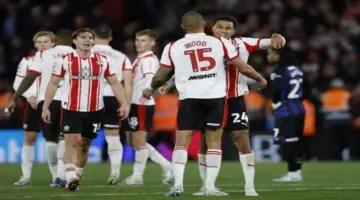 ساوثامبتون يواجه هال في نهائي الملحق المؤهل للدوري الإنجليزي